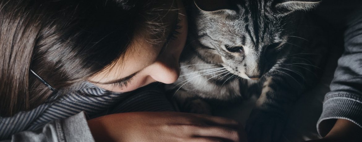 Une petite fille qui s'amuse avec son chat