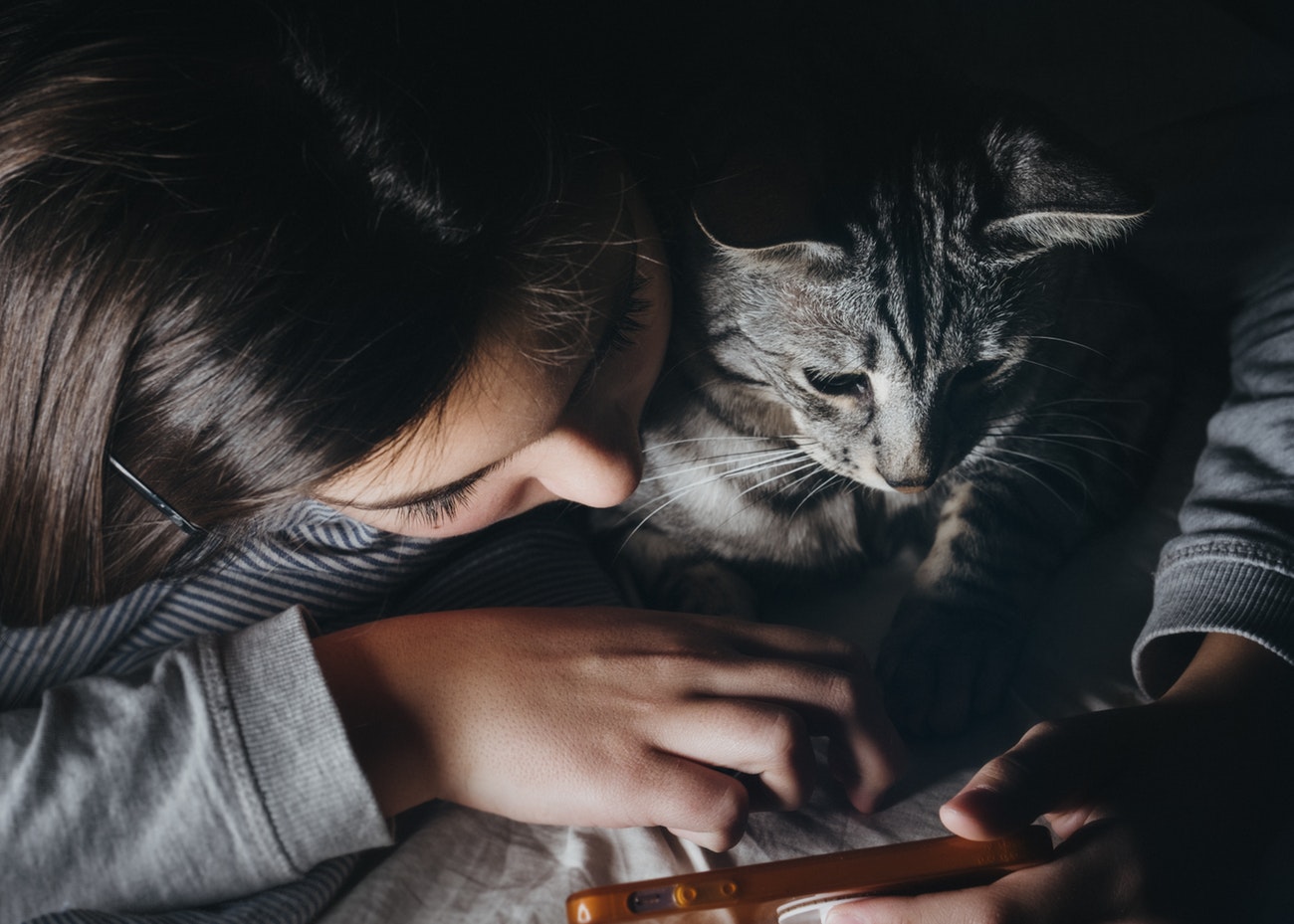 Une petite fille qui s'amuse avec son chat