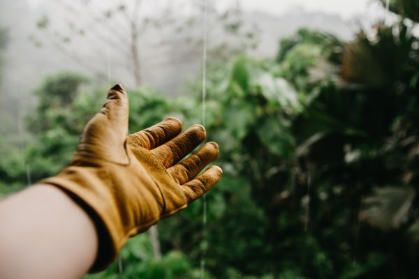 Quels sont les avantages à s’occuper d’un jardin ?