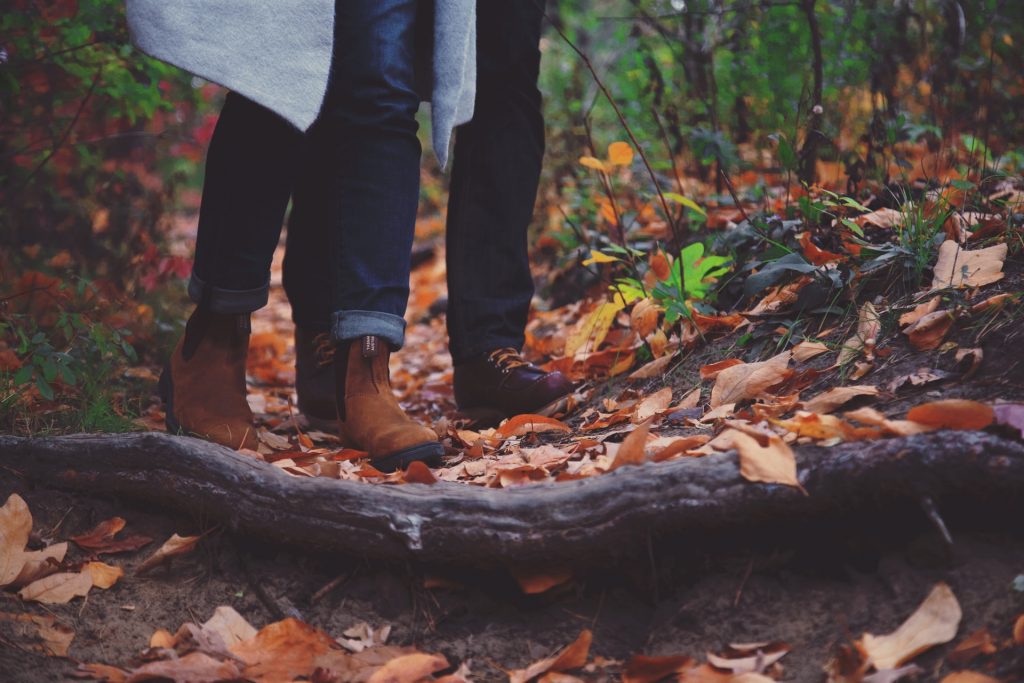 promenade dans les bois